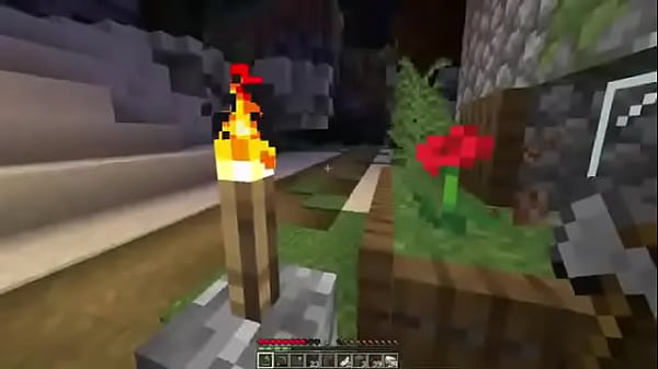 Jouons à Minecraft #1