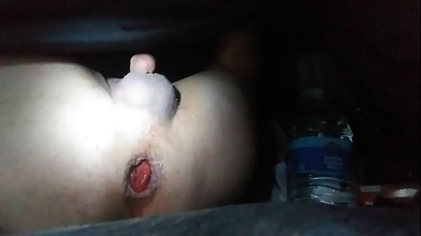 B. Arschklaffung und Prolaps durch große Gurke