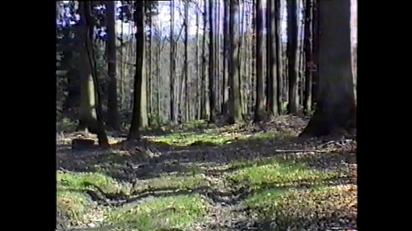 BluttBoy at the scythe and in the forest