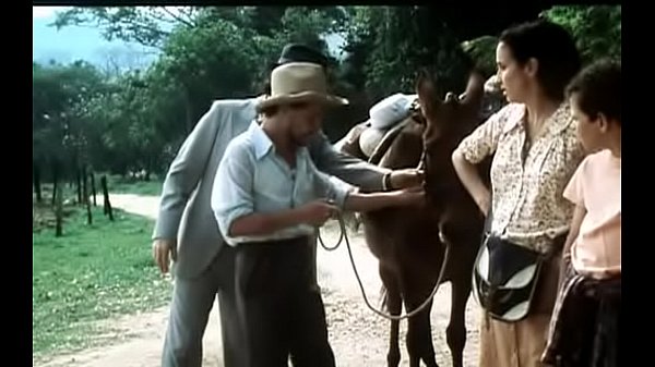 Red Carpet - sex and prolapse